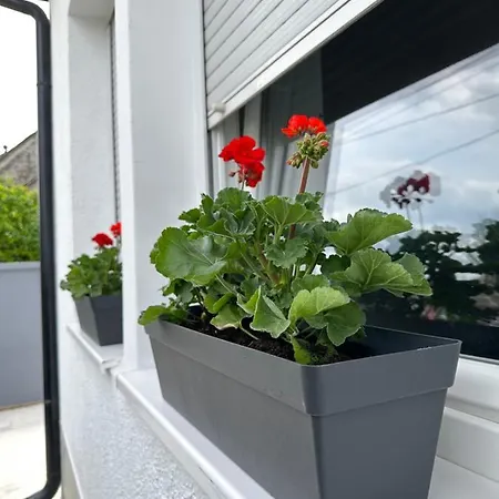 Maja Διαμέρισμα