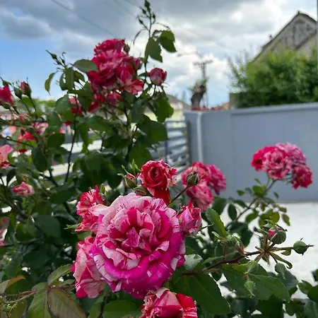 Διαμέρισμα Maja *